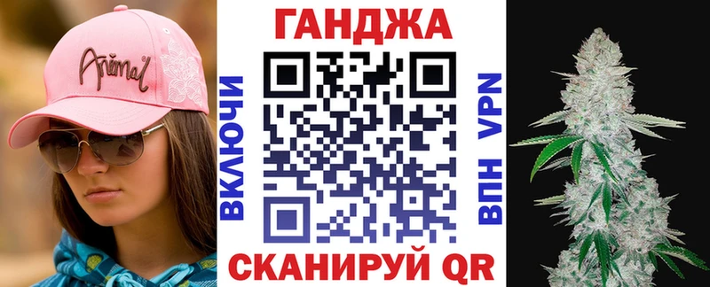 Шишки марихуана план  гидра как зайти  Камышин 